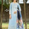 Noorjahan by Mausummery 3pc embroided collection conifer B