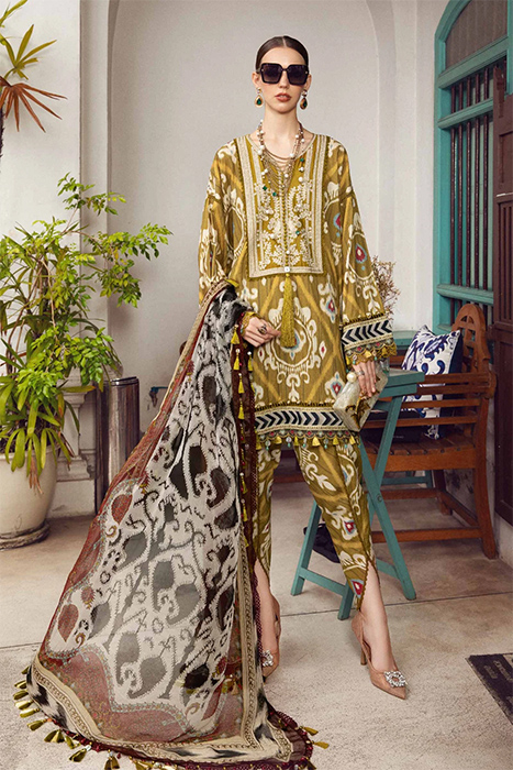 A Beautiful Pakistani Suit by Maria B