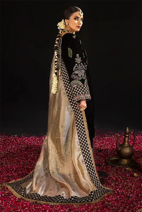 Nureh Maya Velvet Pakistani Collection - MORBAGH d