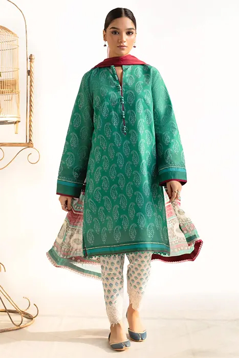 Coco Prints by Zara Shahjahan 2024 Pakistani Suits - CHAAP-D4 a
