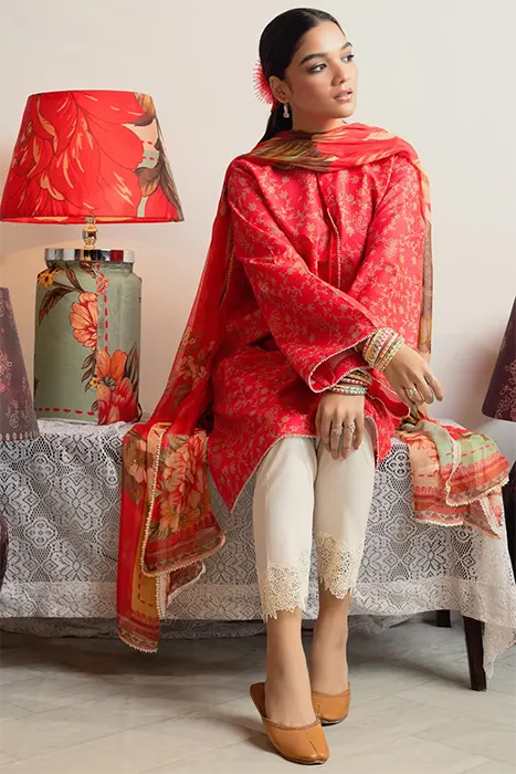 Coco Prints by Zara Shahjahan 2024 Pakistani Suits - CHAMBELI-D8 b