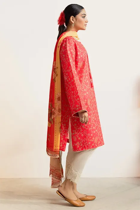 Coco Prints by Zara Shahjahan 2024 Pakistani Suits - CHAMBELI-D8 c