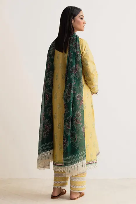 Coco Prints by Zara Shahjahan 2024 Pakistani Suits - CHAMPA-D10 d