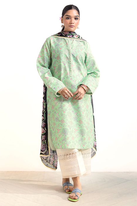 Coco Prints by Zara Shahjahan 2024 Pakistani Suits - MEHAK-D6 a