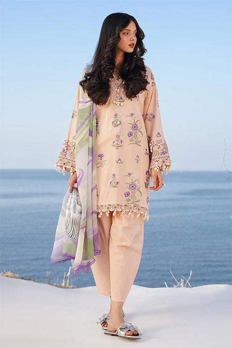 Sana Safinaz Muzlin Spring 2024 Vol - 1 Pakistani Suits - 010B a