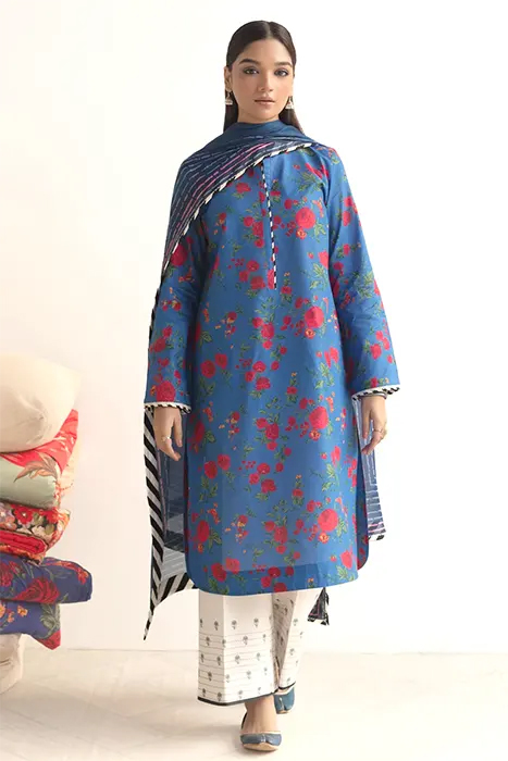 Coco Prints by Zara Shahjahan 2024 Pakistani Suits - BULBUL-D1 a