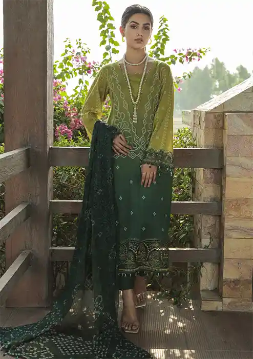 Pakistani Suit